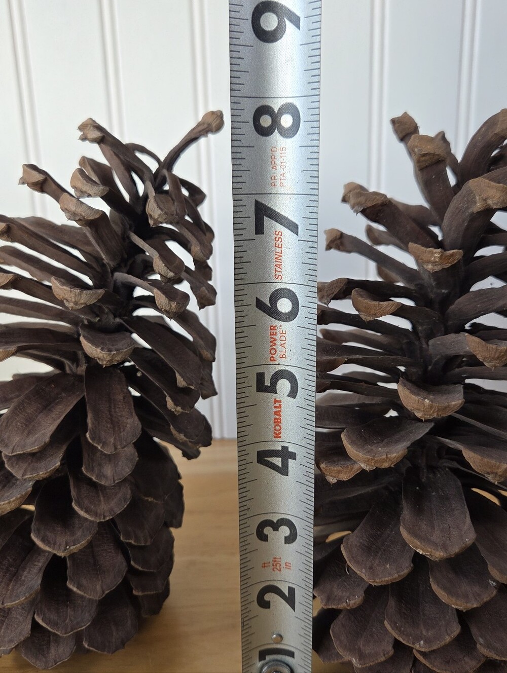 Georiga Pine Cones A Pair 8 Inches Tall (2)